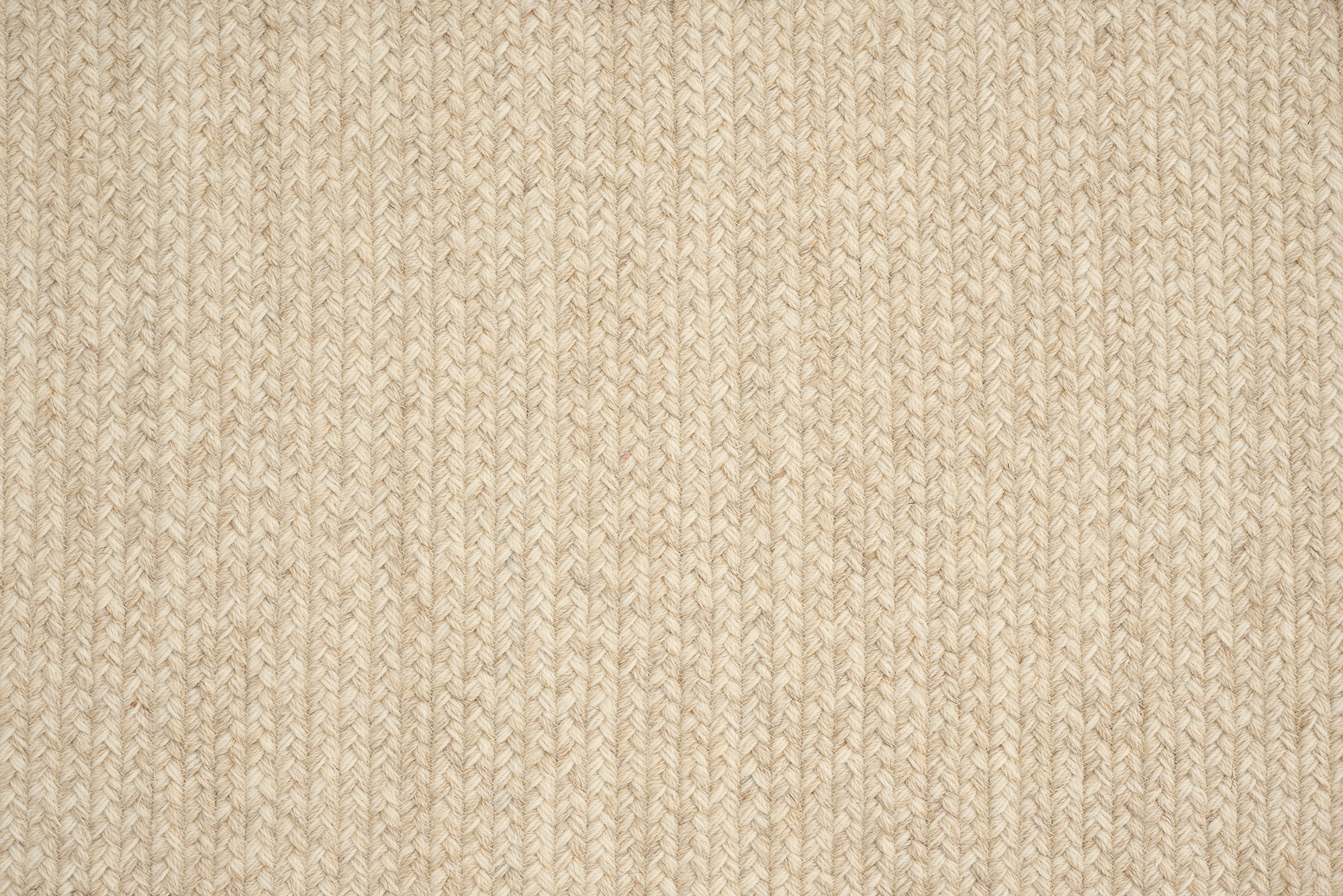 Liora Oyster